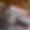 Chalet Elbrus