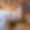 Chalet Elbrus