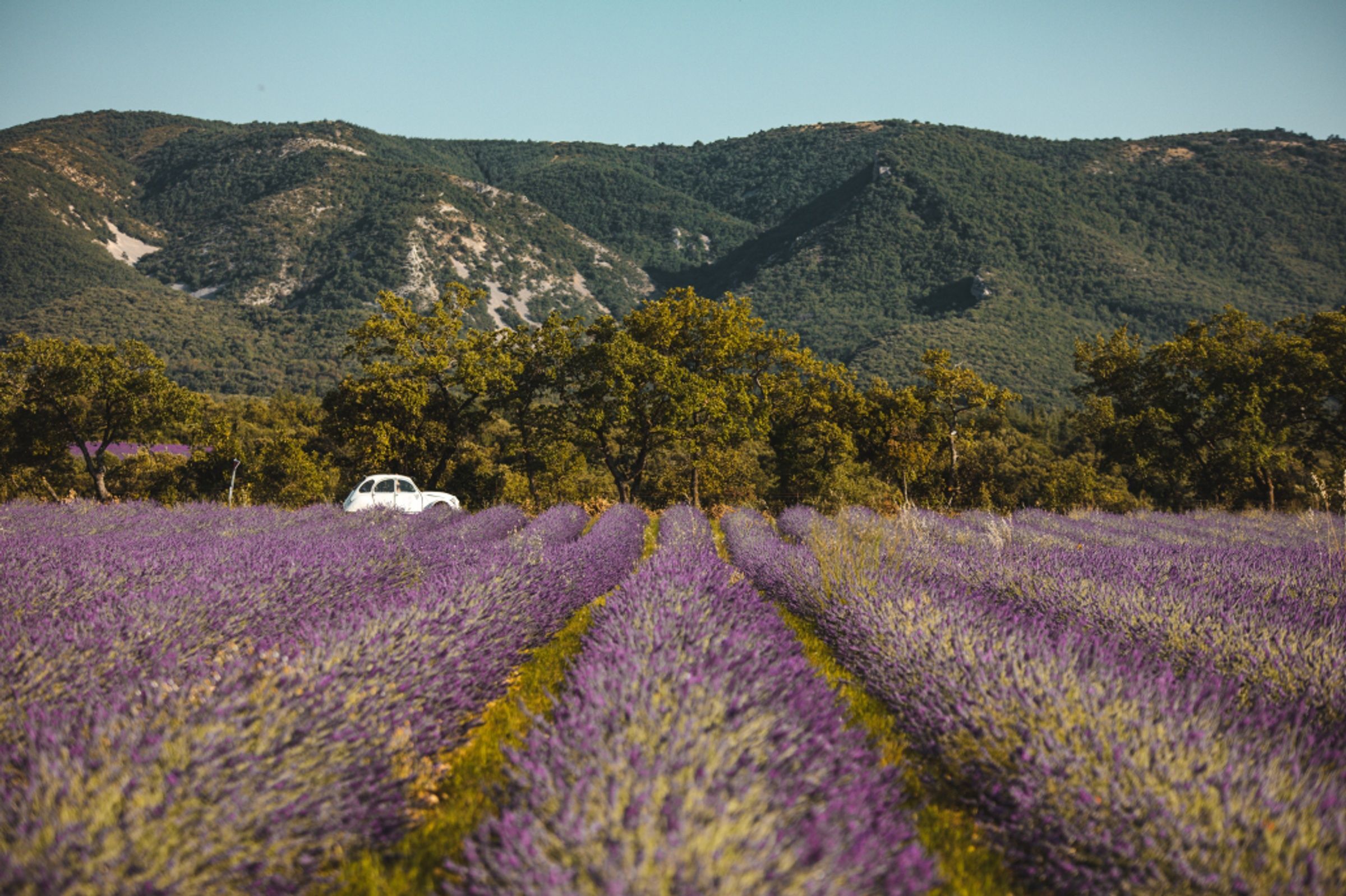Locations villas luxe Provence