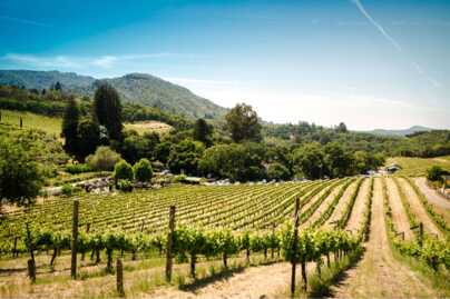 Alpilles luxury villas rentals