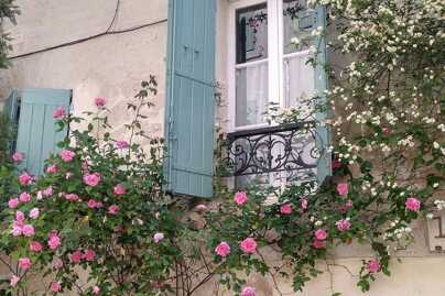 Locations villas luxe Avignon