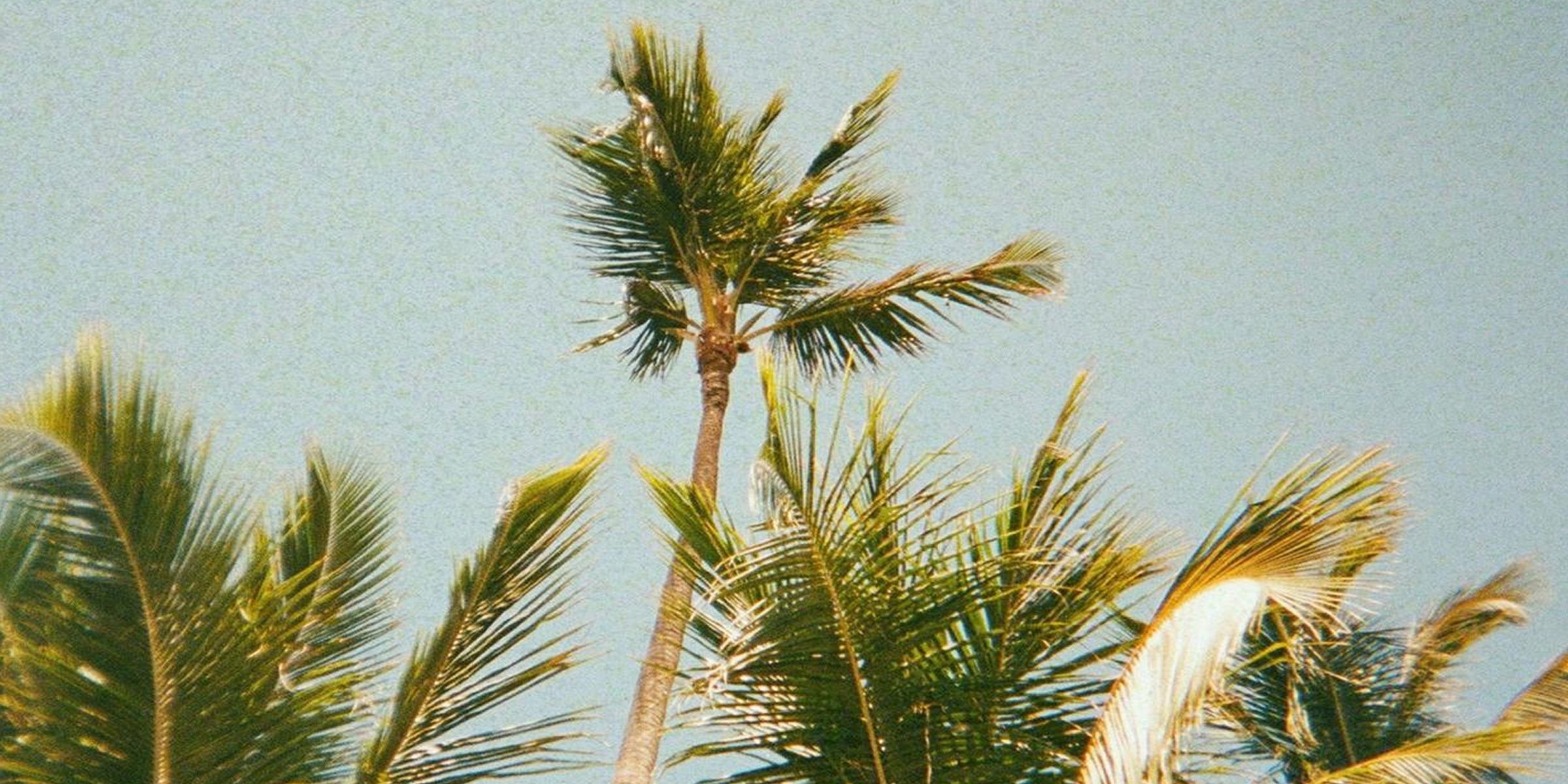 Caraïbes
