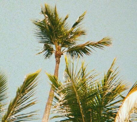 Caribbean