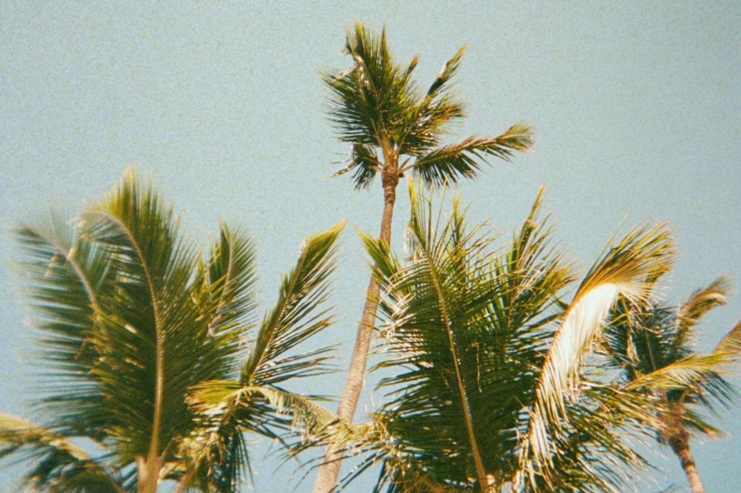 Caraïbes