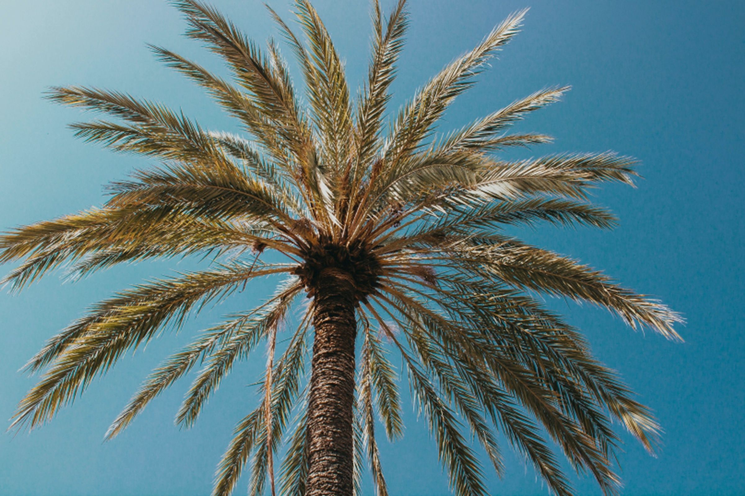 Espagne