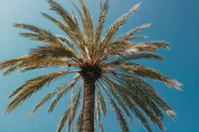 Spain luxury villas rentals