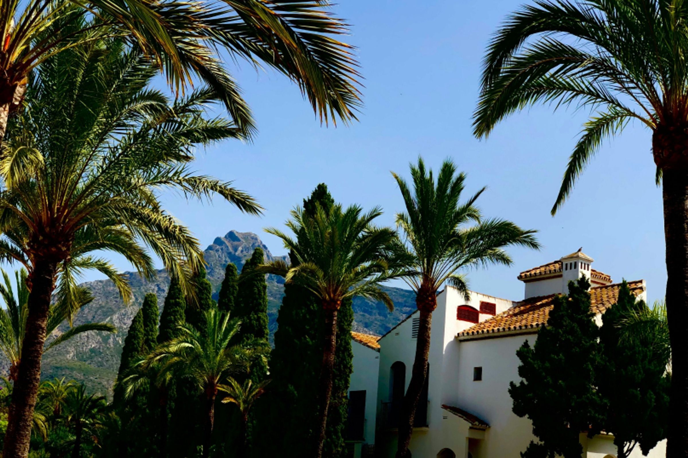 Locations villas luxe Marbella