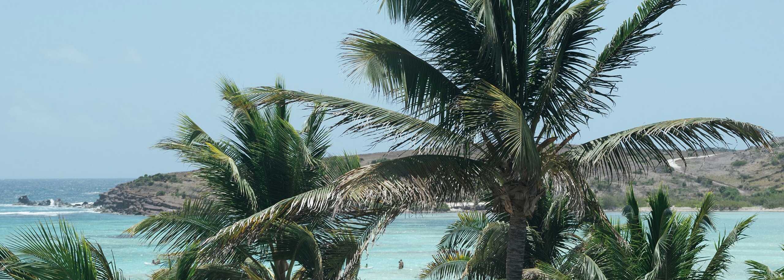 Saint-Barthelemy