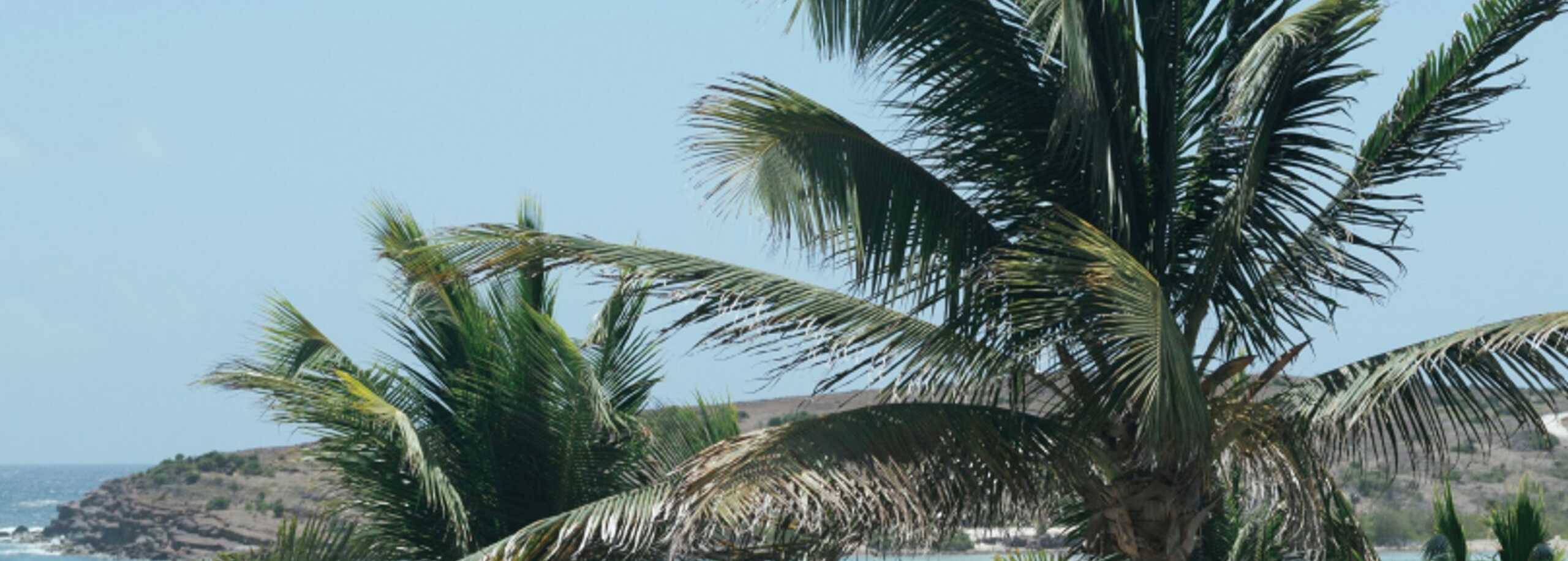 Saint-Barthelemy
