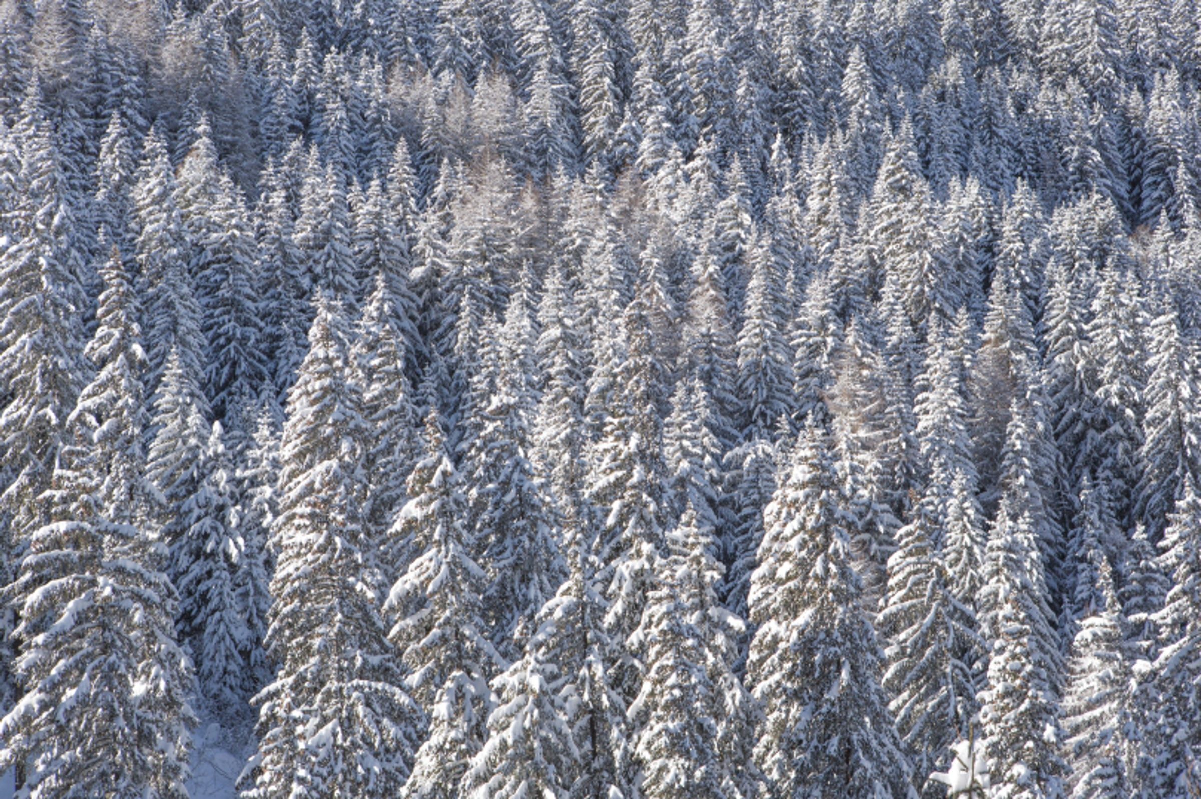 Locations chalets luxe Lech