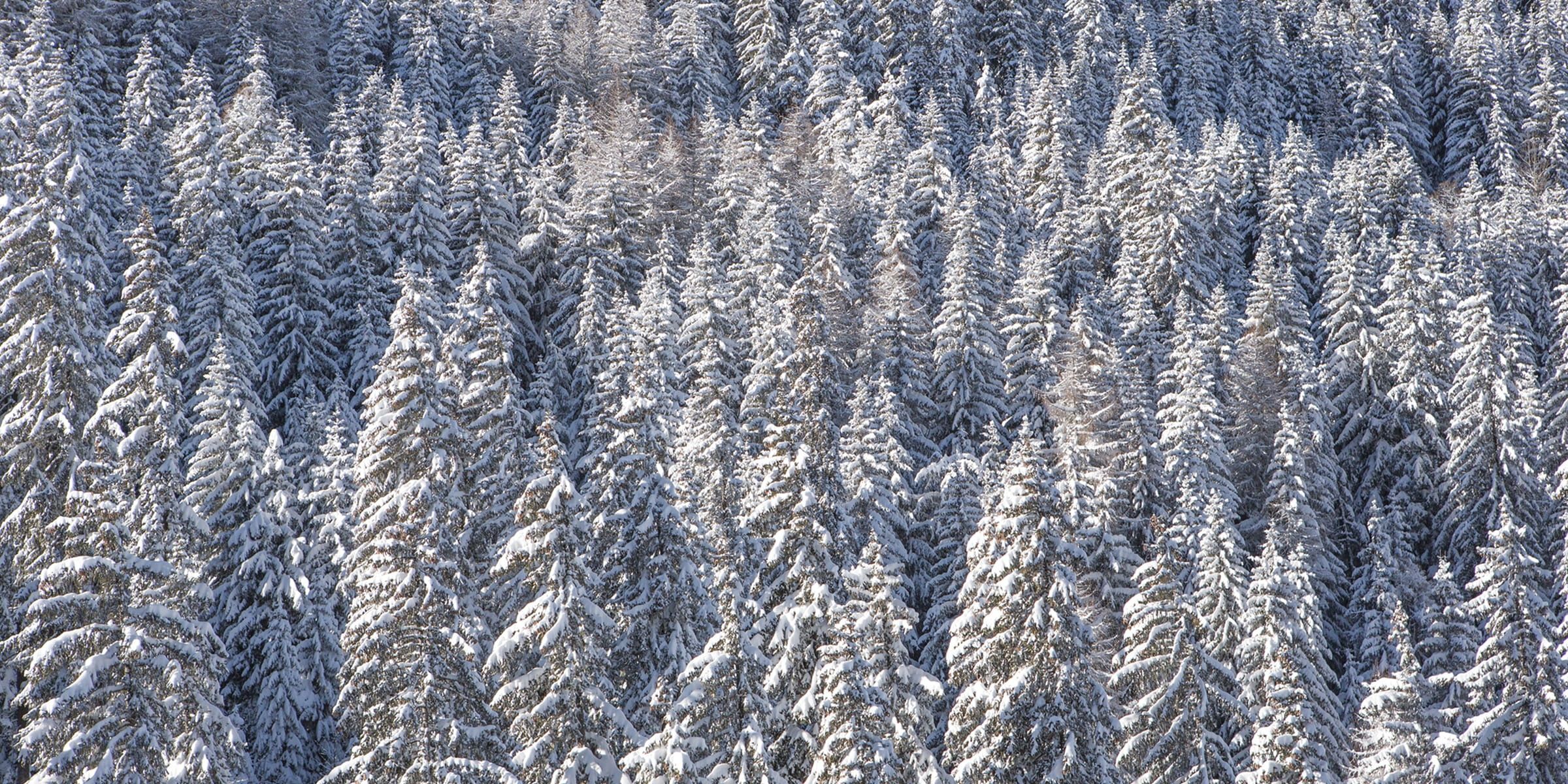 Locations chalets luxe Lech