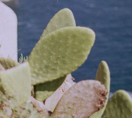 Ile Rousse