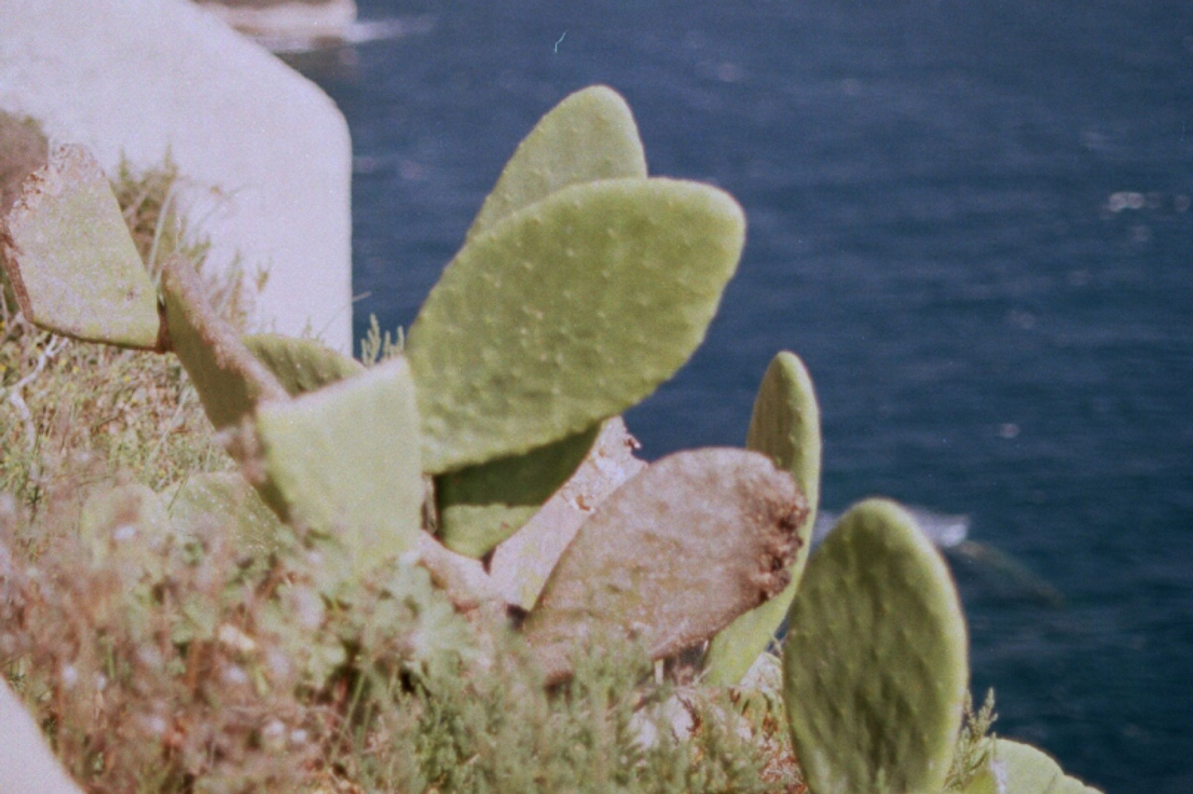 Ile Rousse