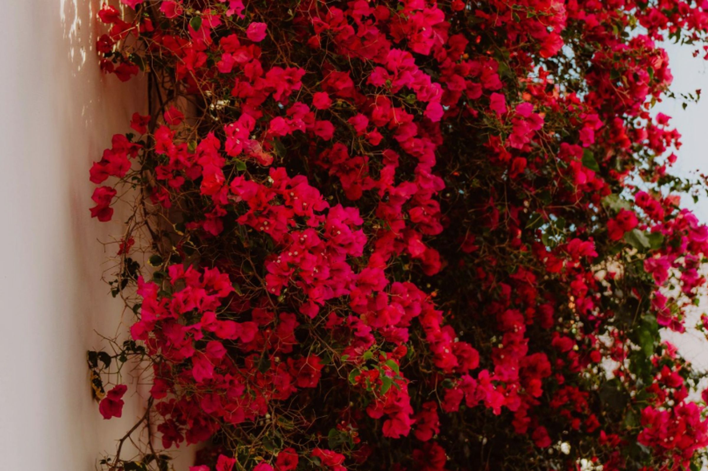 Locations villas luxe Paros & Antiparos