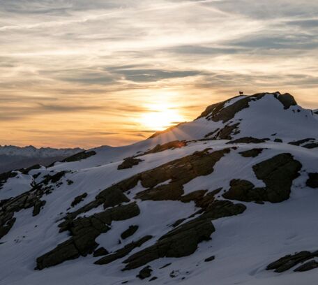 Savoie Tarentaise