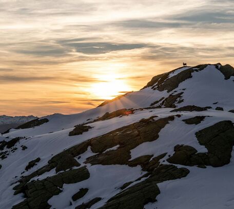 Savoie Tarentaise