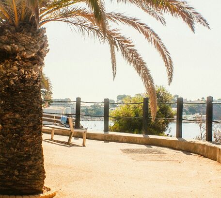 Bandol