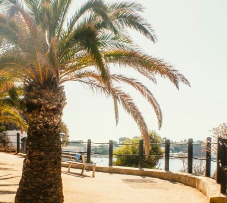 Bandol