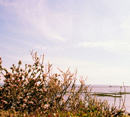 Finistère & Morbihan