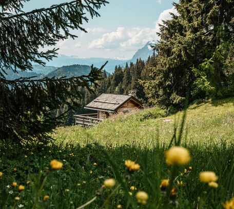 Haute-Savoie
