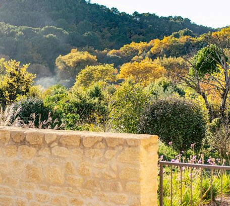 Lourmarin & surroundings