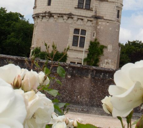 Centre - Val de Loire