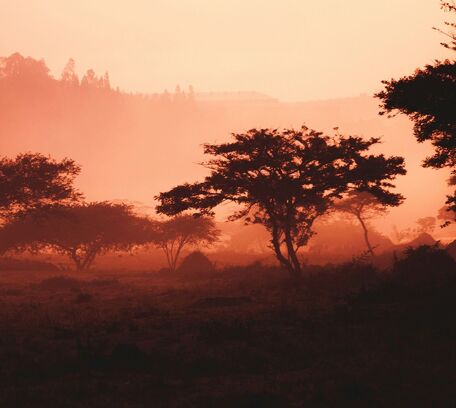 Africa