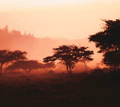 Africa