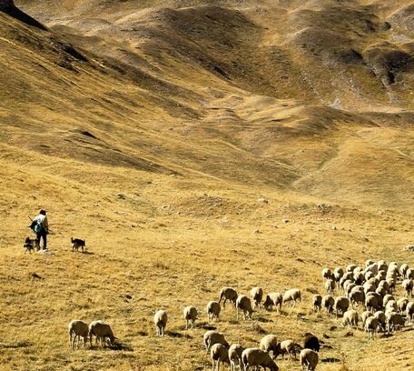 Les Abruzzes