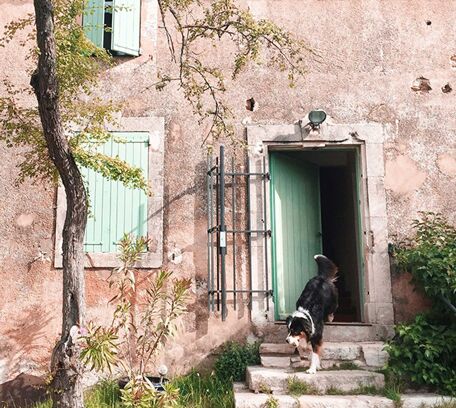 Menerbes and surroundings