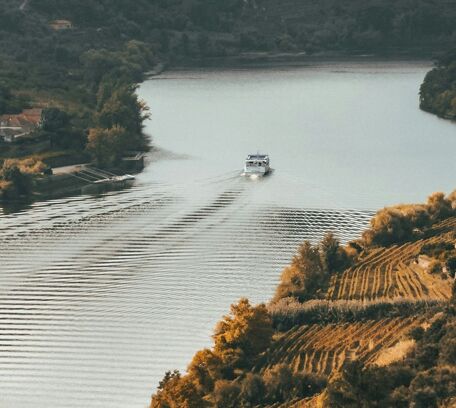 Vallée du Douro