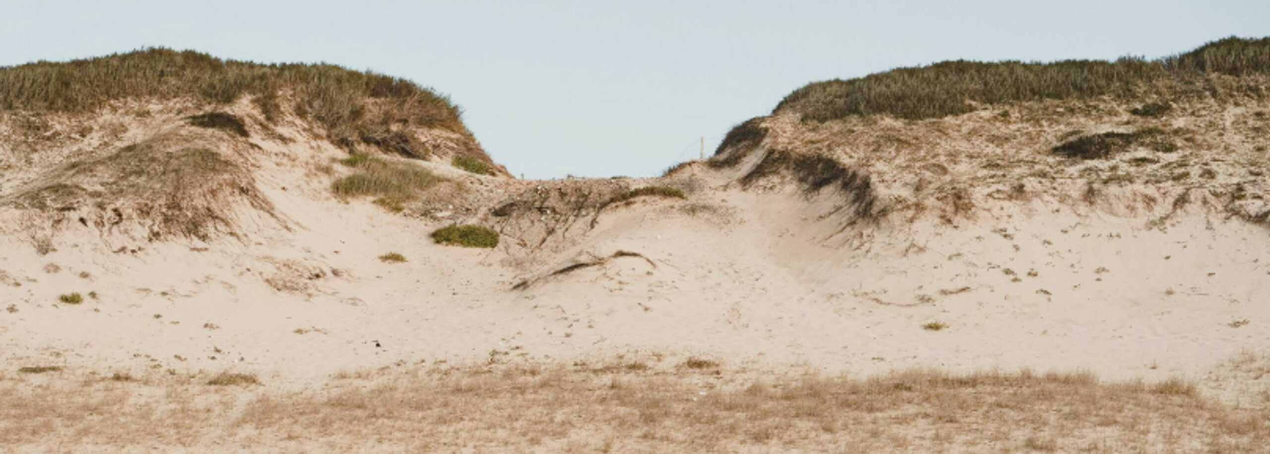 Cap Ferret