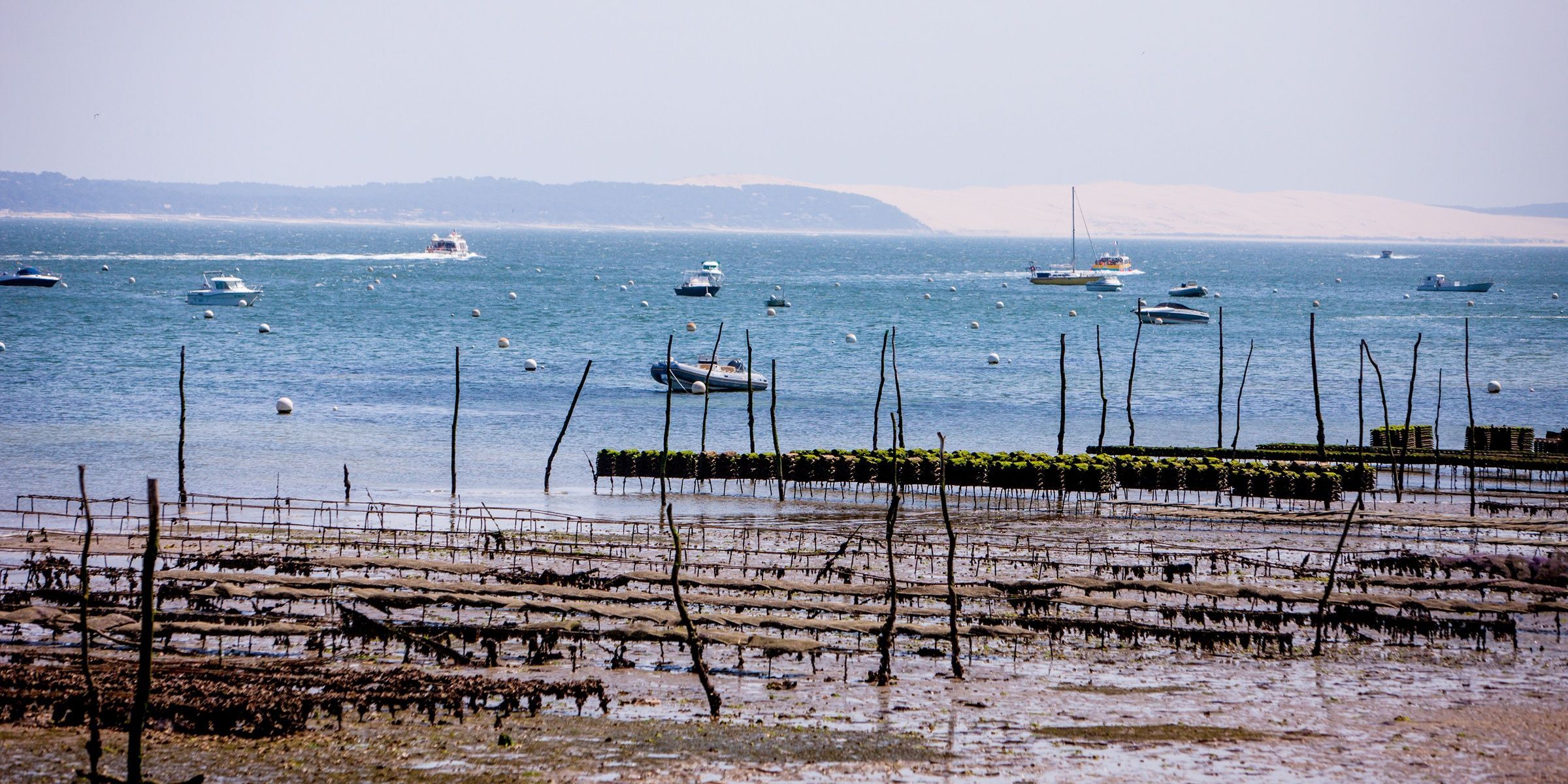 Locations villas luxe Cap Ferret