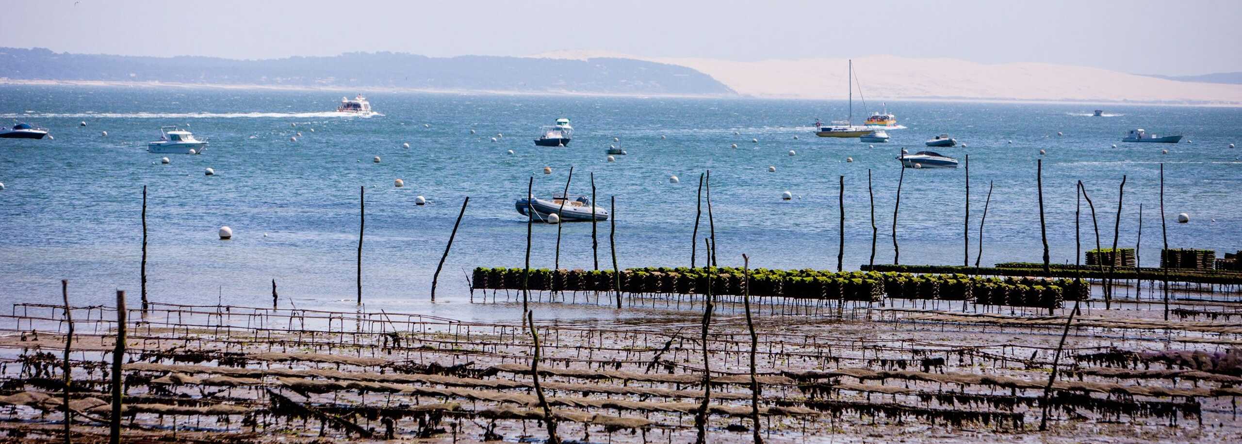 Cap Ferret
