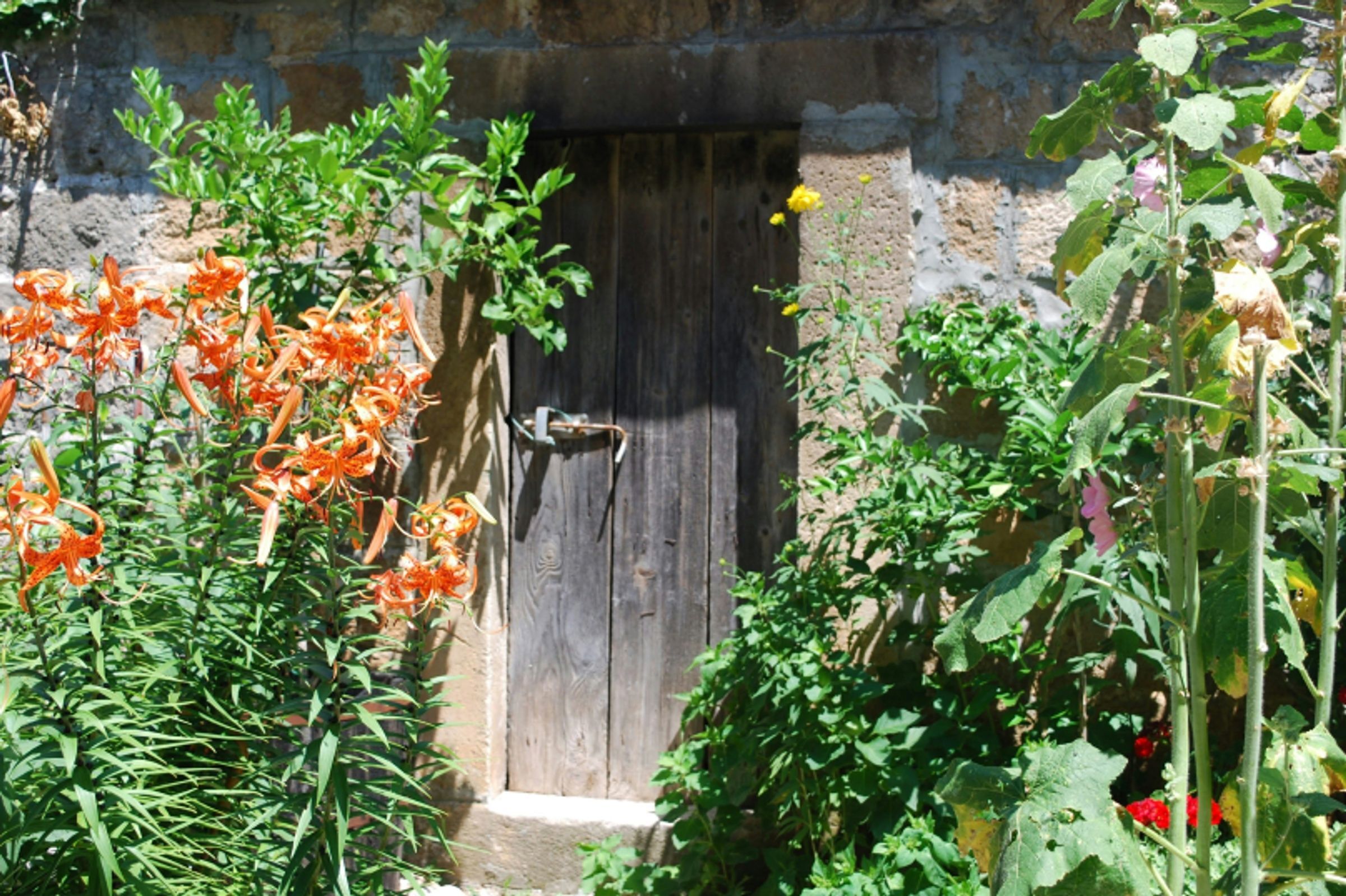 Brac luxury villas rentals