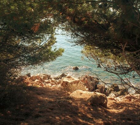 Bandol & environs