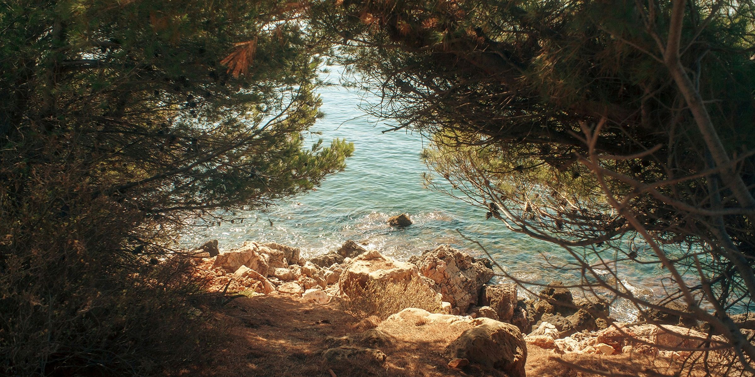 Bandol & environs