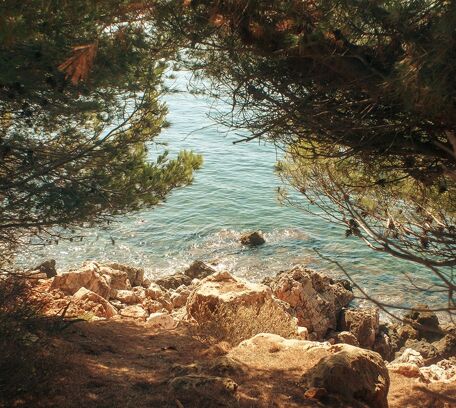 Bandol & environs