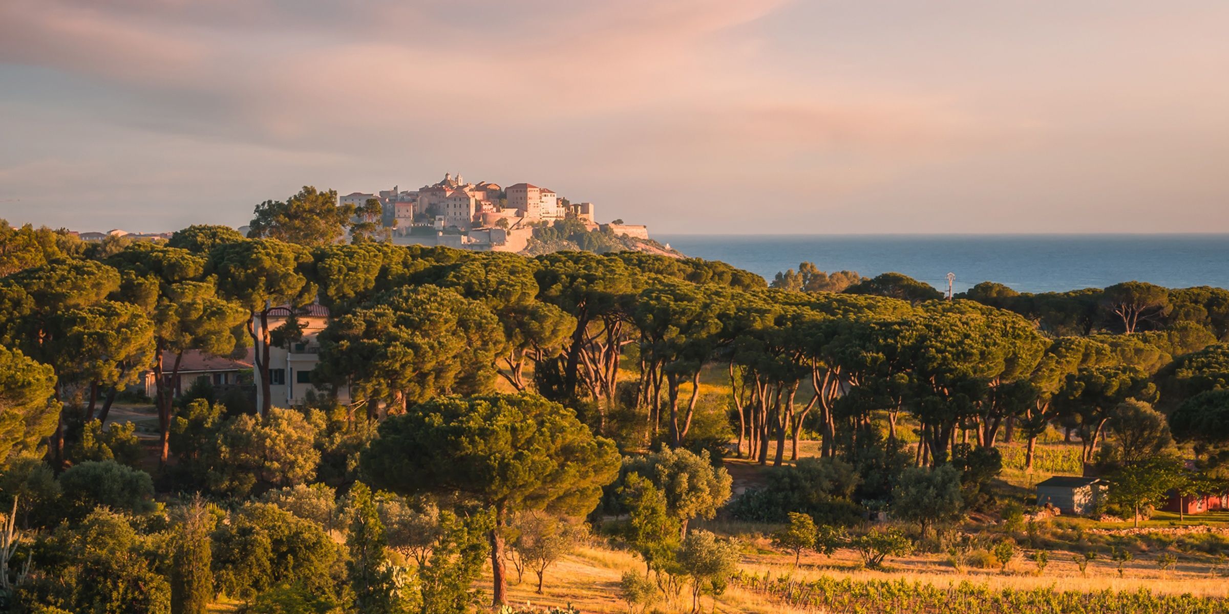 Locations villas luxe Corse du Nord