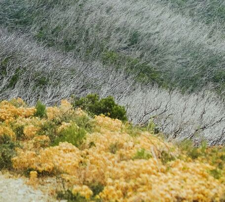 Saint-Florent