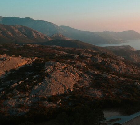 Calvi