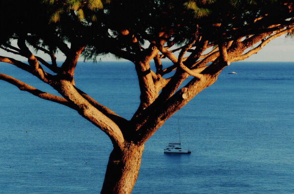 Breathtaking water views