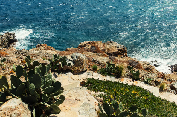 Be near the beach
