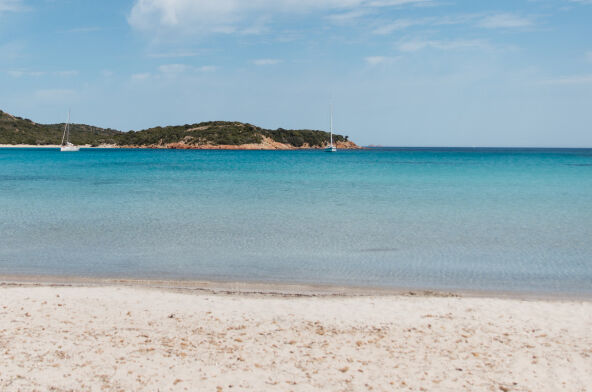 Close to the shore