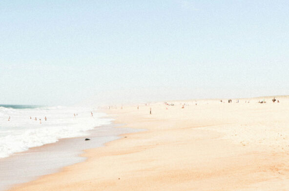 Close to the shore