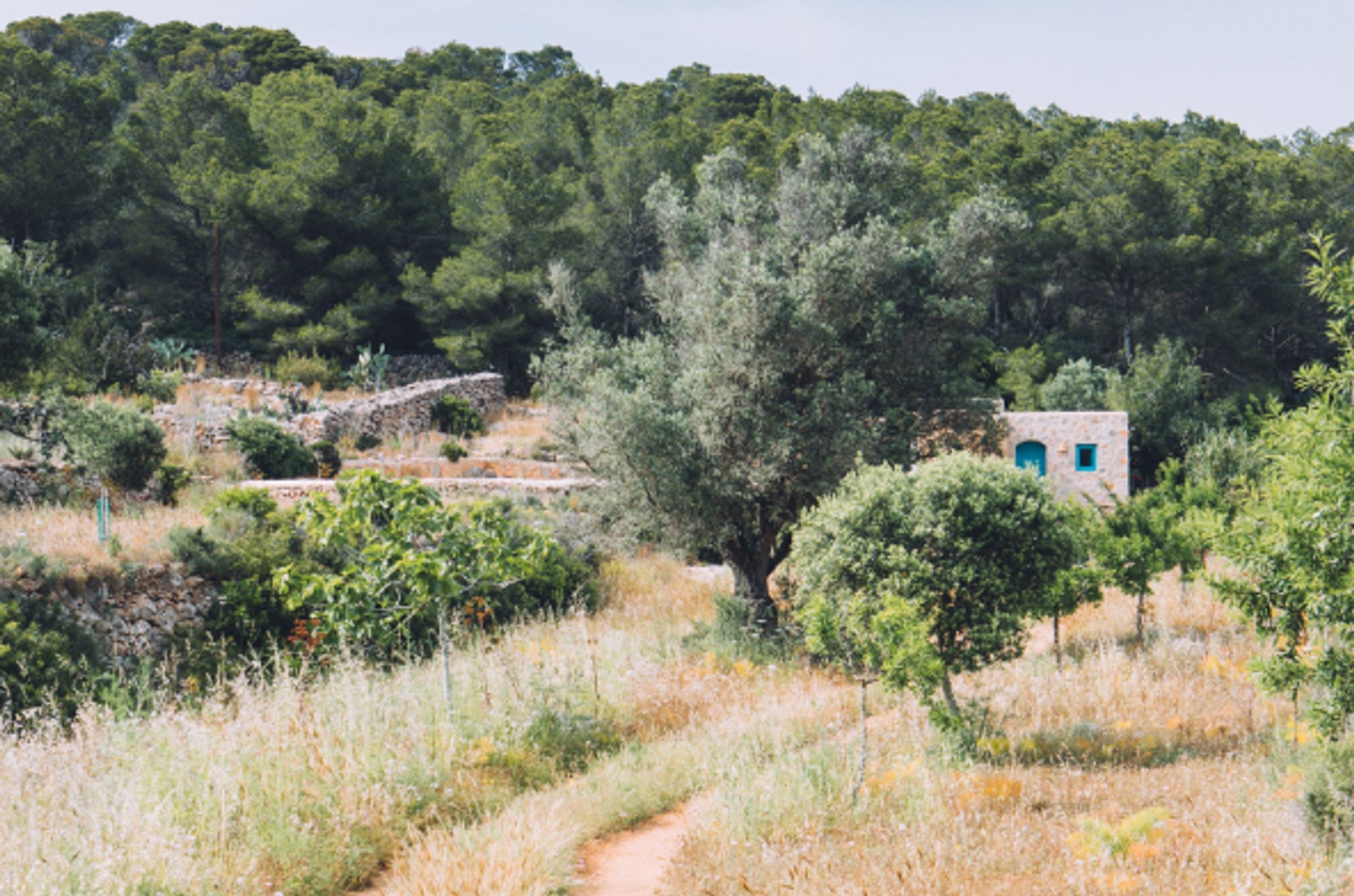 Secluded homes	