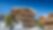 Chalet Ours Blanc
