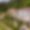Domaine Cocoon