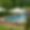 Domaine Cocoon