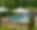 Domaine Cocoon